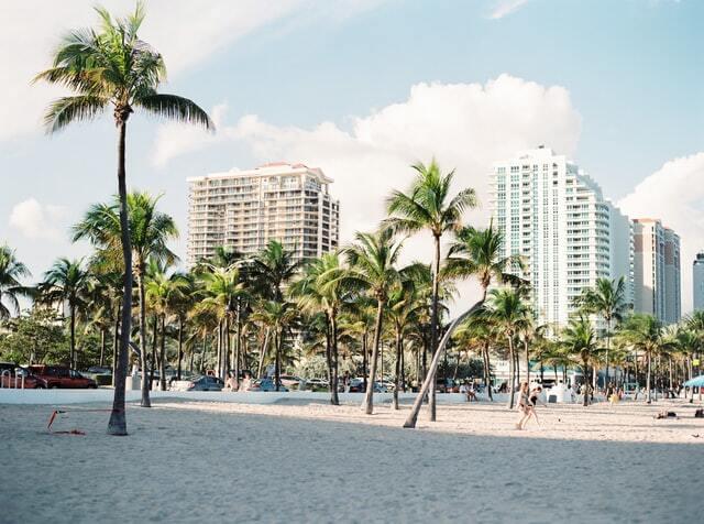  white sand beaches with palm trees in miami